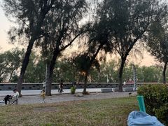 -宝安西湾红树林湿地公园