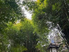 -三江森林温泉度假区