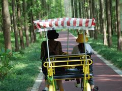 -黄海国家森林公园