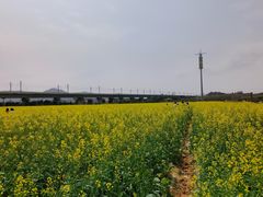 -光明小镇欢乐田园