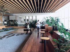 -Seesaw Coffee(朝阳大悦城店)