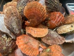 彩虹贝-老虎滩大连海鲜烧烤(建邺云锦路总店)