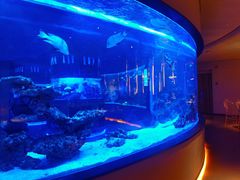 -上和臻品中国菜(花园街店)