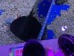 -白鹿仓冰雪海洋世界