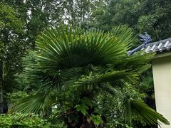 -河南省黄河迎宾馆