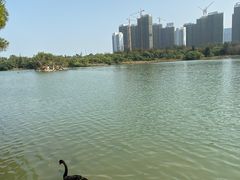 -五缘湾湿地公园