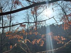 -白水寺森林公园