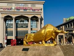 -国强手抓(利通旗舰店)