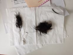 -禧婴婴儿理胎发·胎毛笔定制纪念品(新街口店)