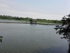 -溱湖国家湿地公园