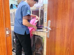 -瑞派动物医院·绝育·犬猫全科·预防医学(光景江南中店)
