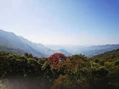 -广州市石门国家森林公园