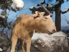 -陕西自然博物馆