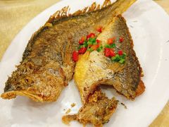 -炡坊黄鳝饭(骏丰大厦店)
