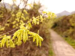 -大罗山风景区