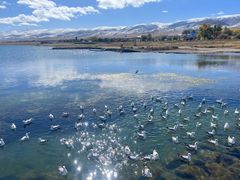-青海湖国家重点风景名胜区