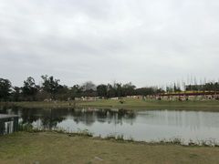 -两河城市森林公园