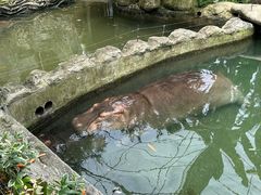 -宁波野生动物园