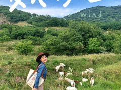 -浮槎山