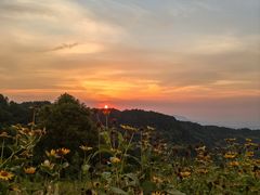 -綦江古剑山