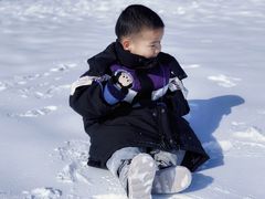 -绿野森林乐园冰雪季