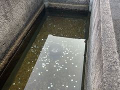 -蔡元培故居