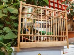 -威海小海鲜大排档胖哥烧烤(双井店)