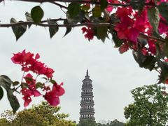 -顺峰山公园