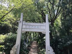 -苏州上方山国家森林公园