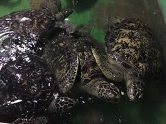 -常州海昌海洋探索馆