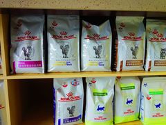 -谐和贝康宠物医院24小时·宠保定点(急重症转诊中心)