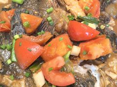 -生态苑农庄(十里画廊遇龙河店)