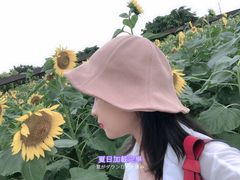 -广东花都香草世界旅游度假区