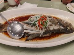 清蒸鲈鱼-月坛宾馆-聚仙楼餐厅