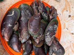 -红树林天天赶海