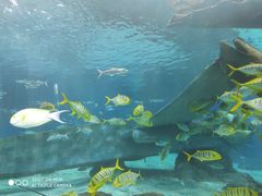 -福州罗源湾海洋世界旅游区