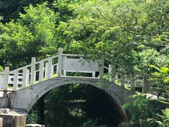 -陶祖圣境风景区