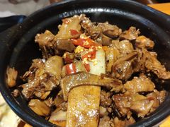 姜辣鸽王煲-小金鬼·煎饺·鸽子汤