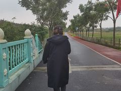 -上海长兴岛郊野公园