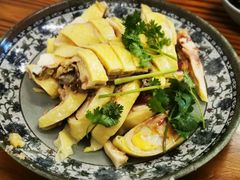 -九斤黄三黄鸡专卖店