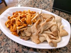 养颜菌-鸽鸟轩(石岐店)