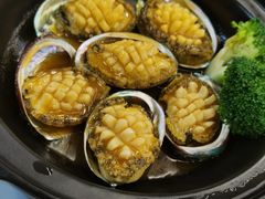 -九號渔港·蒸汽海鲜·粤菜茶点(八卦岭店)