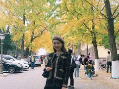 -八大关景区