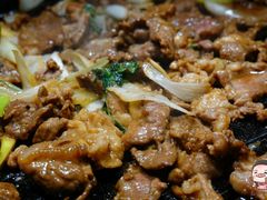 -燚店·铁板鱼蛙·烤肉·烤串(北新桥店)