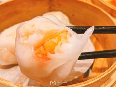 壹号虾饺皇-粤珍轩.创始店.始于2001(含光门店)