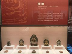 -四川大学博物馆