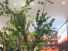 -船歌·鱼水饺青岛菜(金狮广场店)