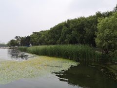 -南湖大桥
