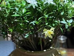 -钱塘花园·宁波菜