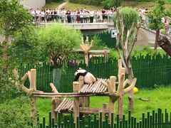 -沈阳森林动物园